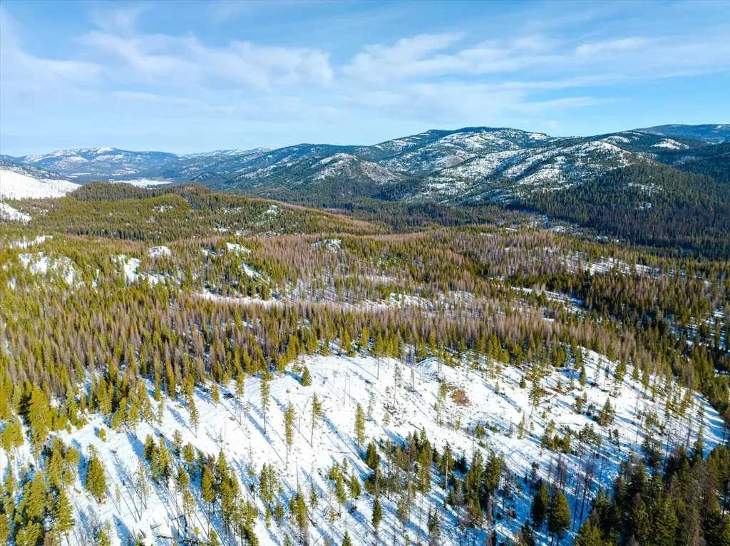 Nhn Mcginnis Meadows - Fishtrap Road Section 9 Libby MT 59923
