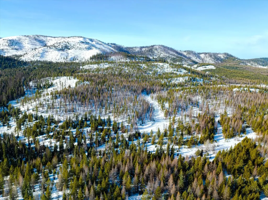 Nhn Mcginnis Meadows - Fishtrap Road Section 9 Libby MT 59923