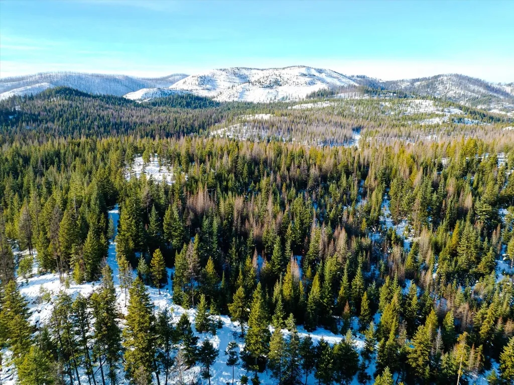Nhn Mcginnis Meadows - Fishtrap Road Section 9 Libby MT 59923