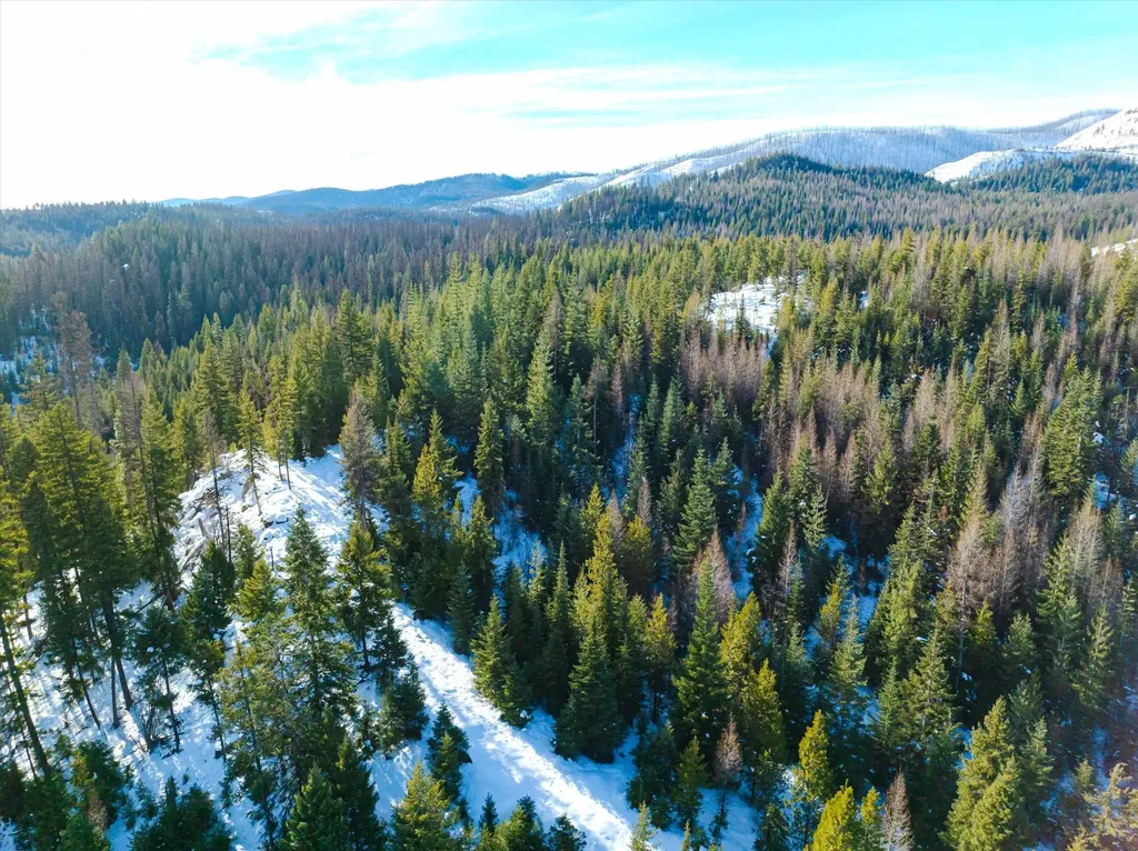 Nhn Mcginnis Meadows - Fishtrap Road Section 9 Libby MT 59923