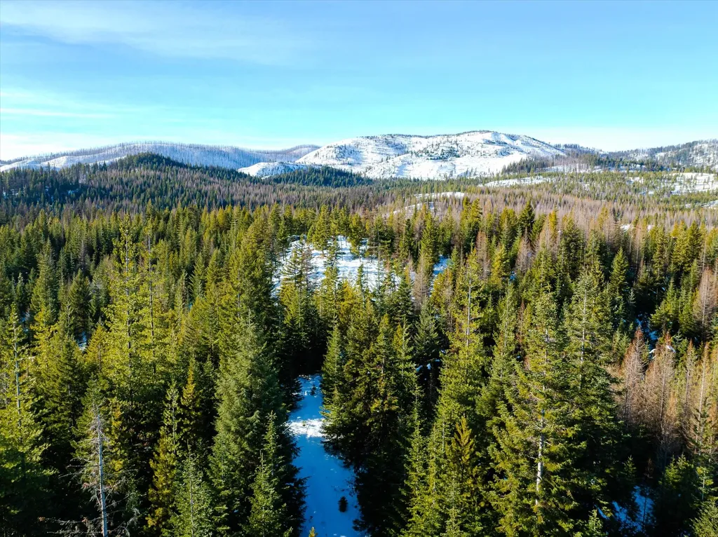 Nhn Mcginnis Meadows - Fishtrap Road Section 9 Libby MT 59923