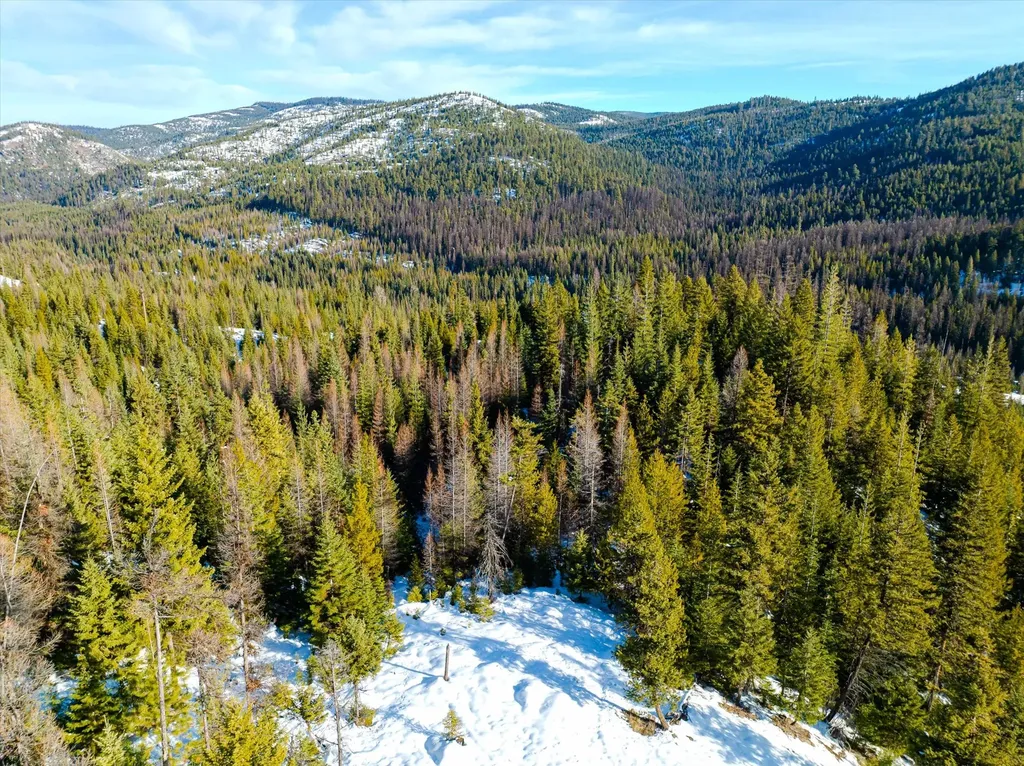 Nhn Mcginnis Meadows - Fishtrap Road Section 9 Libby MT 59923