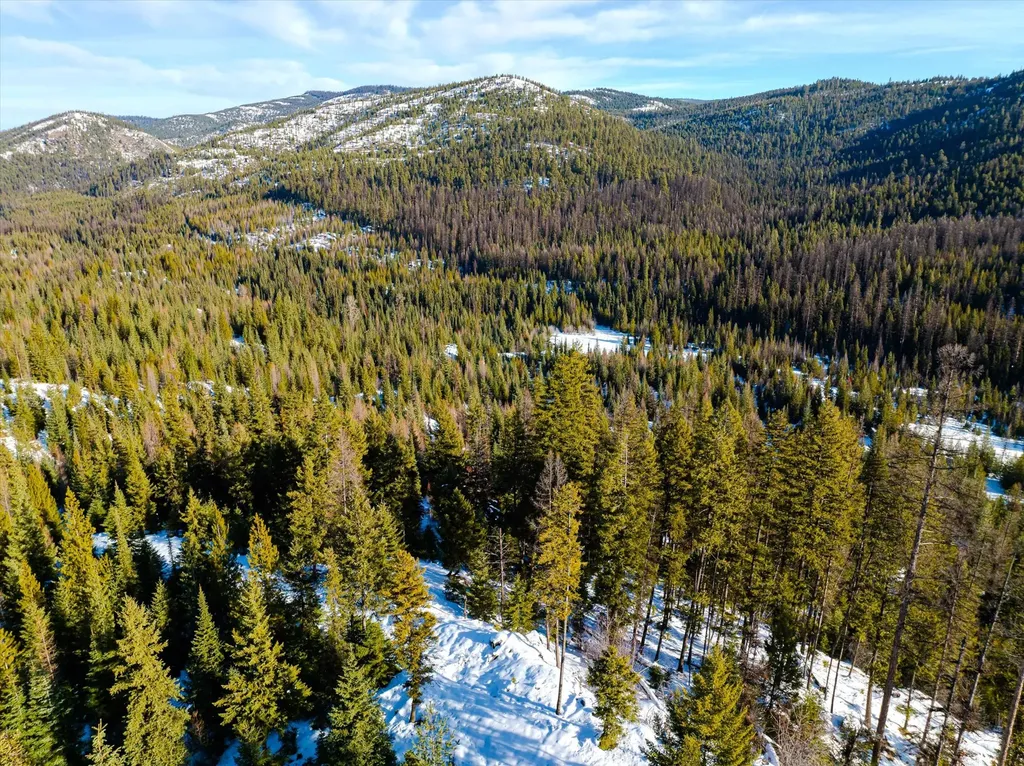 Nhn Mcginnis Meadows - Fishtrap Road Section 9 Libby MT 59923