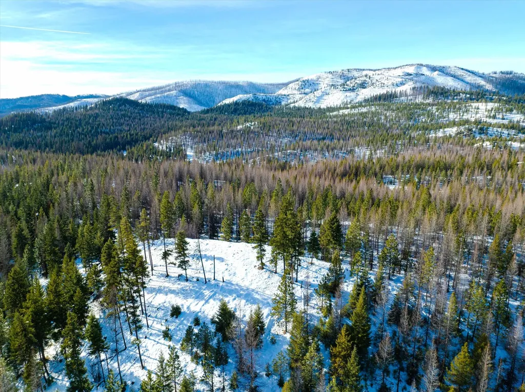 Nhn Mcginnis Meadows - Fishtrap Road Section 9 Libby MT 59923