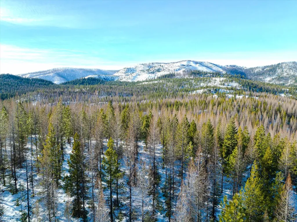 Nhn Mcginnis Meadows - Fishtrap Road Section 9 Libby MT 59923