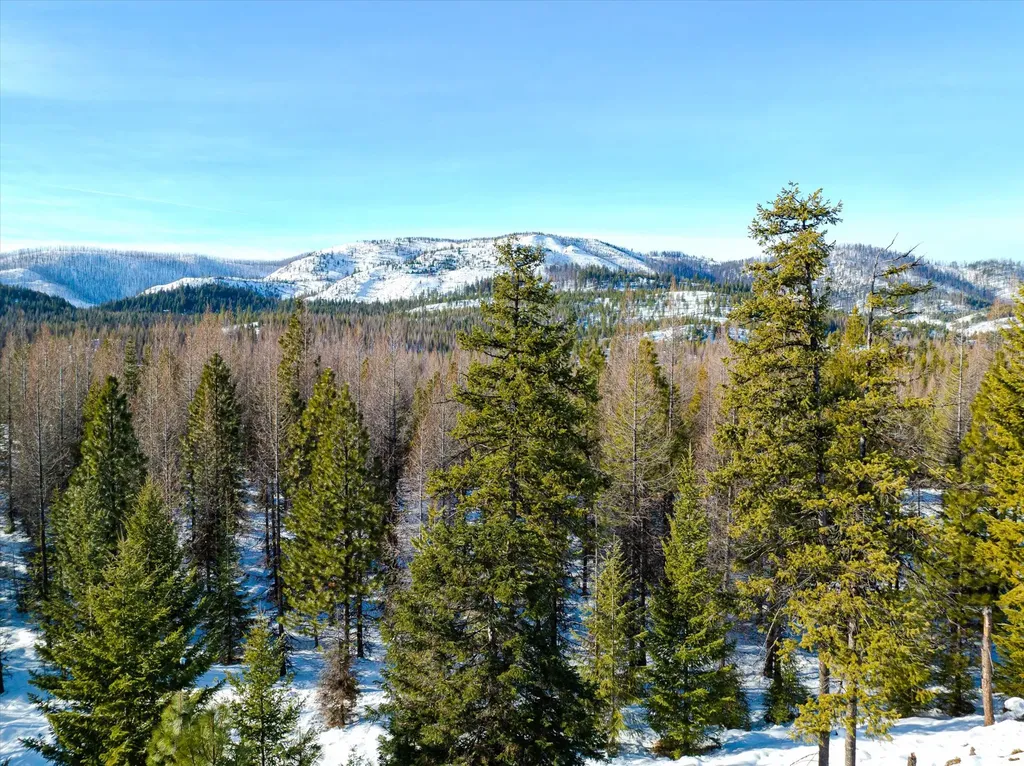 Nhn Mcginnis Meadows - Fishtrap Road Section 9 Libby MT 59923