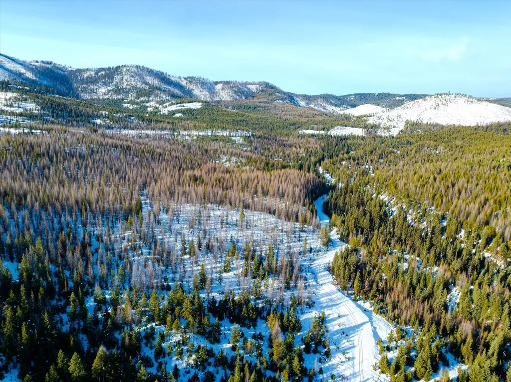 Nhn Mcginnis Meadows - Fishtrap Road Section 9 Libby MT 59923