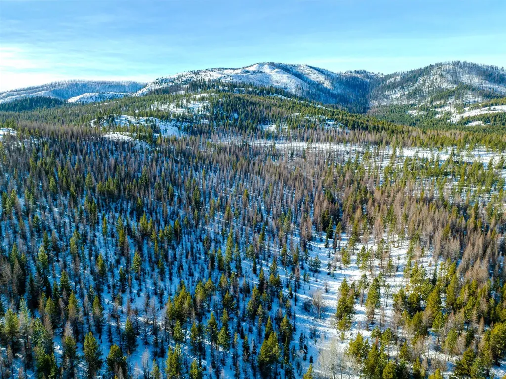 Nhn Mcginnis Meadows - Fishtrap Road Section 9 Libby MT 59923