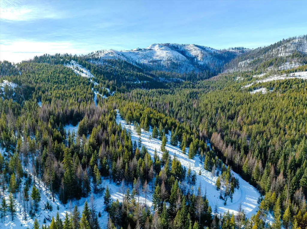 Nhn Mcginnis Meadows - Fishtrap Road Section 9 Libby MT 59923