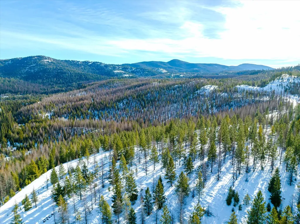 Nhn Mcginnis Meadows - Fishtrap Road Section 9 Libby MT 59923