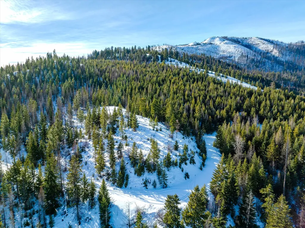 Nhn Mcginnis Meadows - Fishtrap Road Section 9 Libby MT 59923