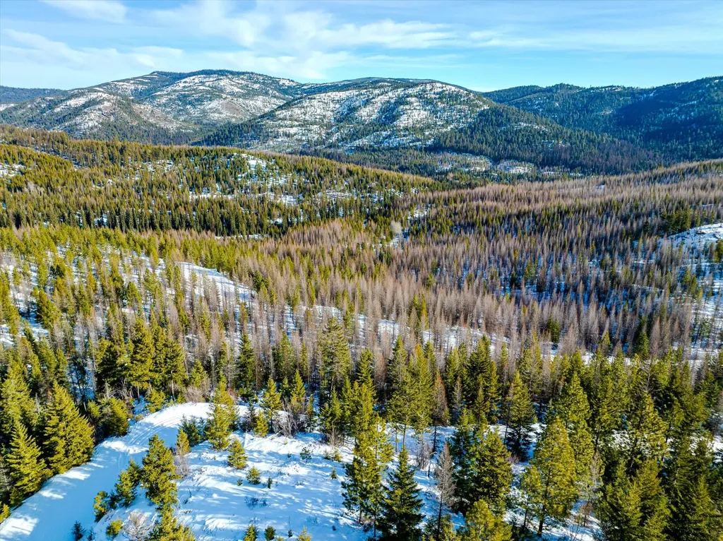 Nhn Mcginnis Meadows - Fishtrap Road Section 9 Libby MT 59923