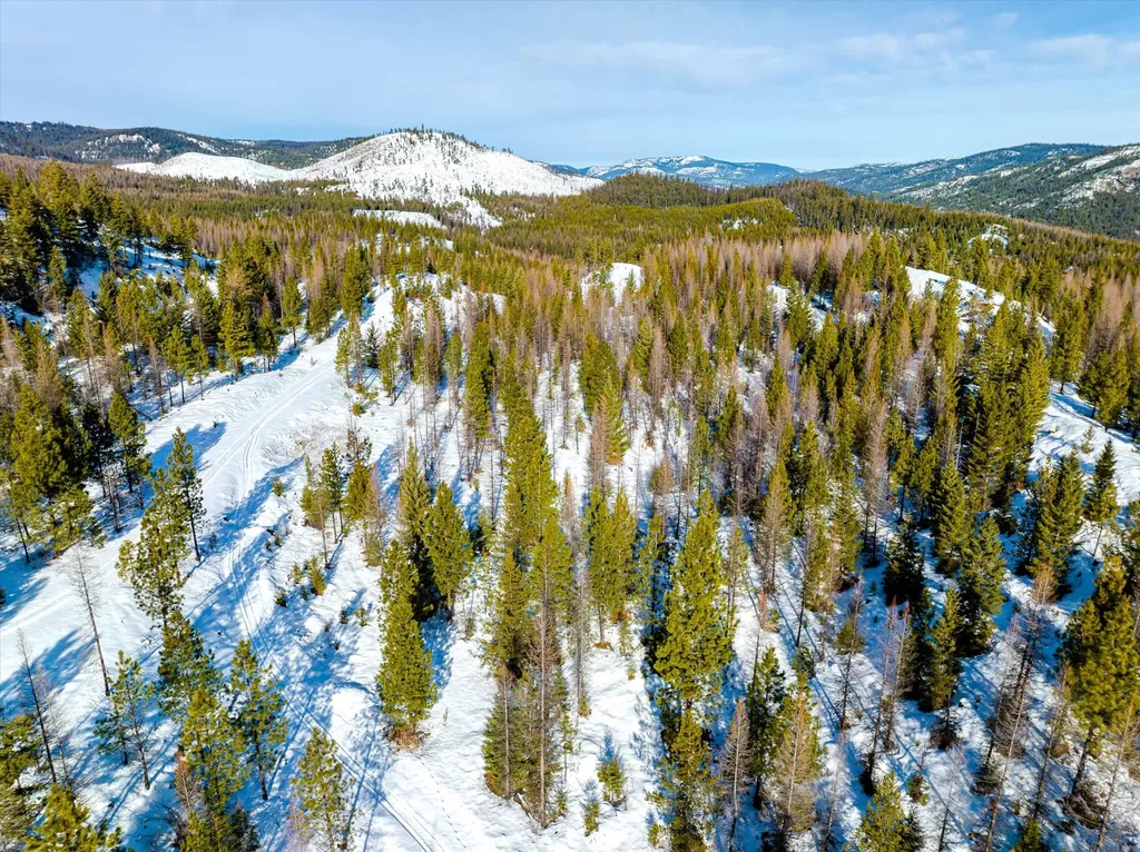 Nhn Mcginnis Meadows - Fishtrap Road Section 9 Libby MT 59923