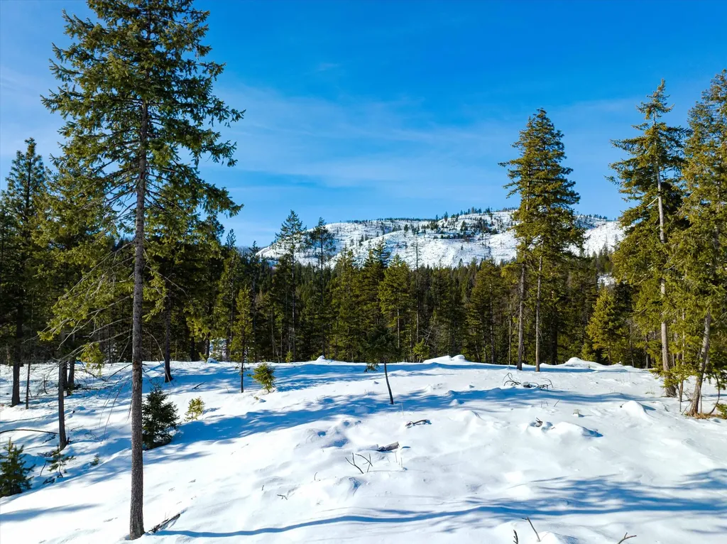 Nhn Mcginnis Meadows - Fishtrap Road Section 9 Libby MT 59923
