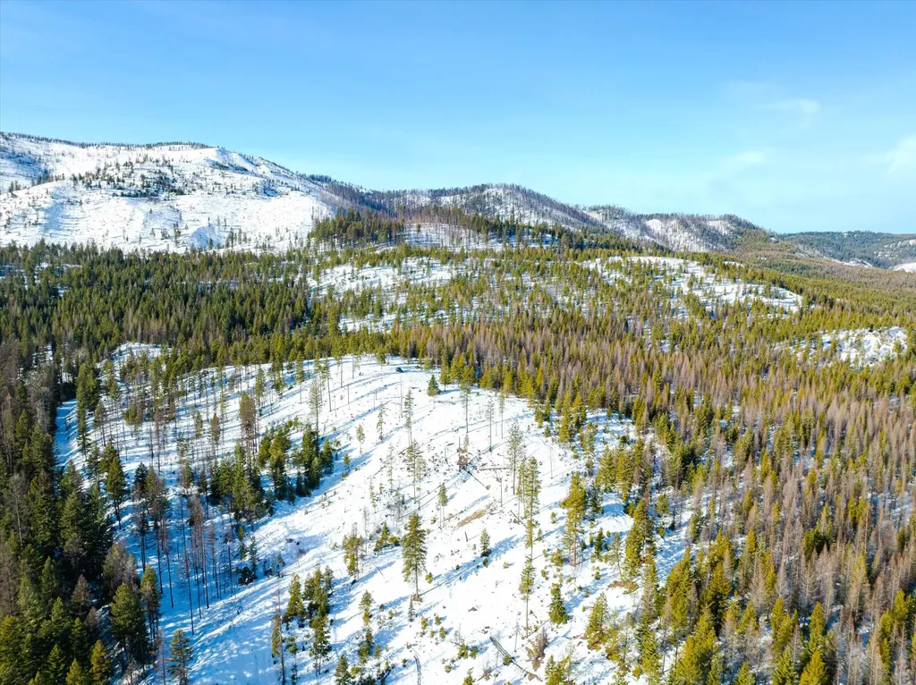 Nhn Mcginnis Meadows - Fishtrap Road Section 9 Libby MT 59923
