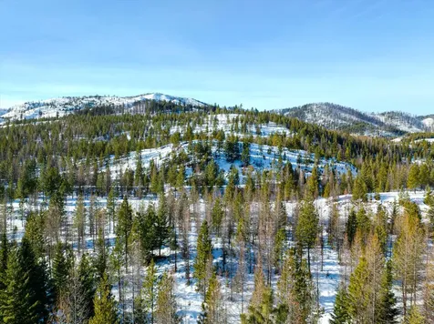 NHN Mcginnis Meadows - Fishtrap Road Section 9 Libby MT 59923