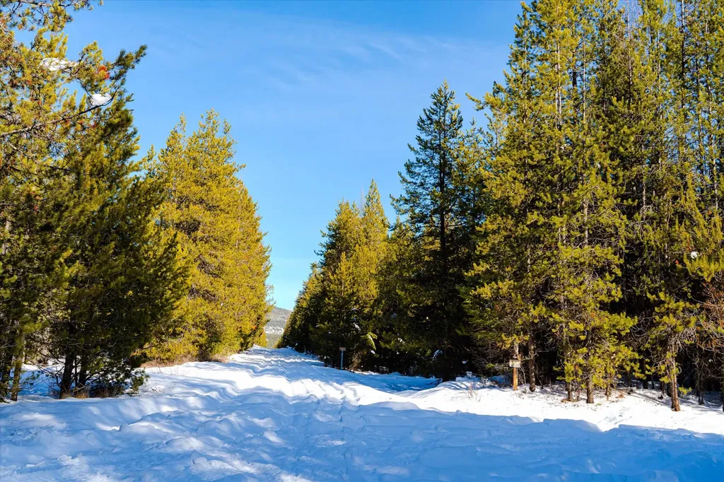 Nhn Elk Creek - Mcginnis Meadows Road Section 11 Libby MT 59923