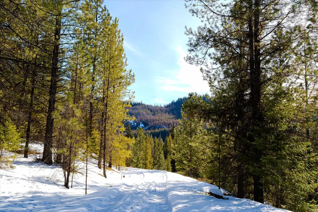 Nhn Elk Creek - Mcginnis Meadows Road Section 11 Libby MT 59923