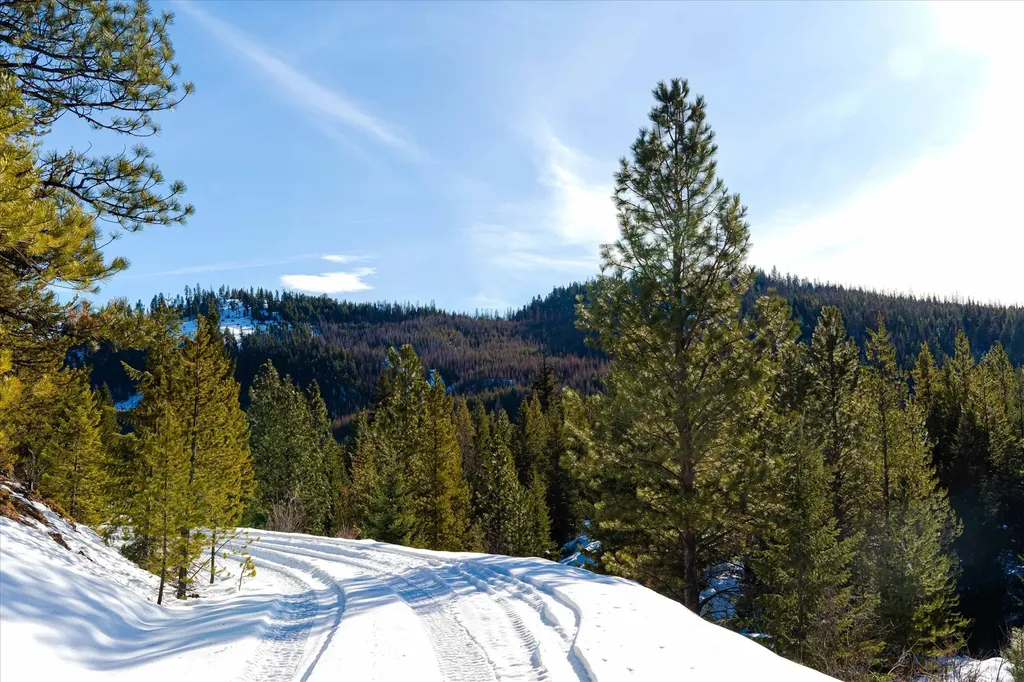 Nhn Elk Creek - Mcginnis Meadows Road Section 11 Libby MT 59923