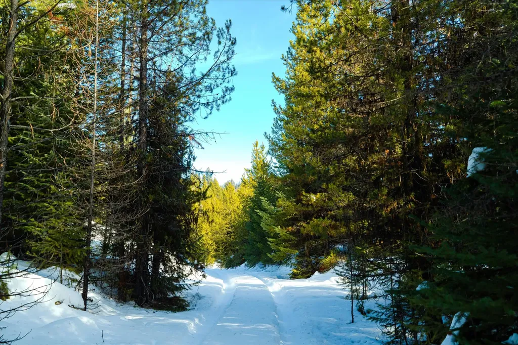 Nhn Elk Creek - Mcginnis Meadows Road Section 11 Libby MT 59923
