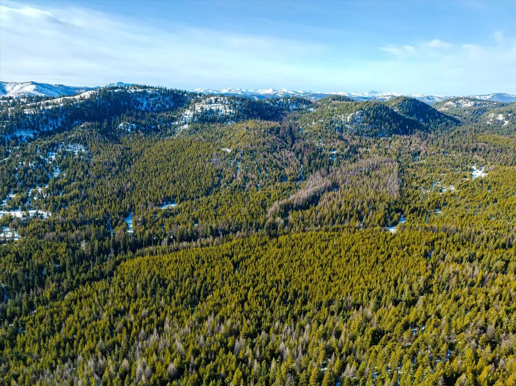 Nhn Elk Creek - Mcginnis Meadows Road Section 11 Libby MT 59923