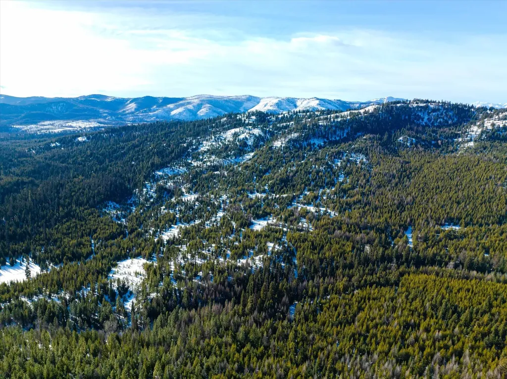 Nhn Elk Creek - Mcginnis Meadows Road Section 11 Libby MT 59923