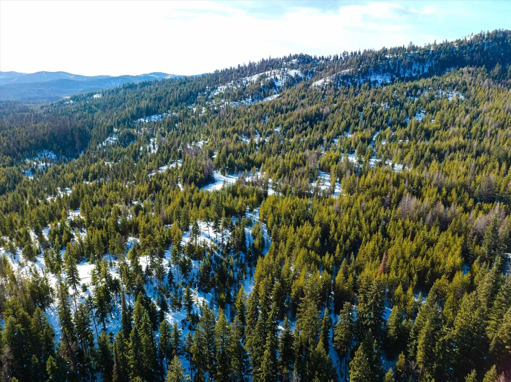 Nhn Elk Creek - Mcginnis Meadows Road Section 11 Libby MT 59923
