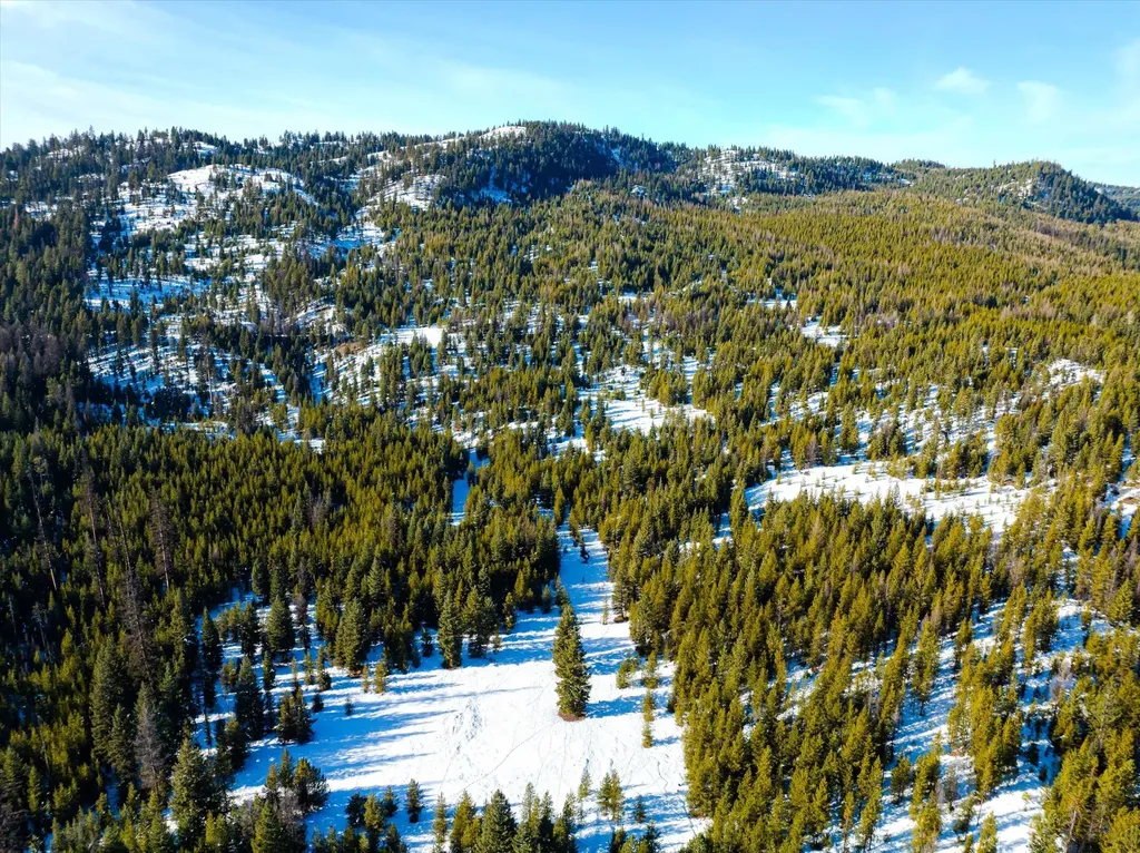 Nhn Elk Creek - Mcginnis Meadows Road Section 11 Libby MT 59923