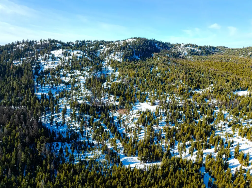 Nhn Elk Creek - Mcginnis Meadows Road Section 11 Libby MT 59923