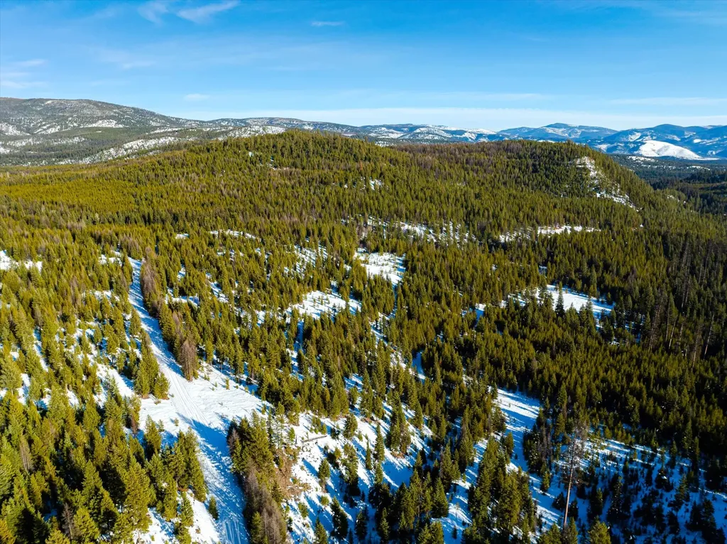 Nhn Elk Creek - Mcginnis Meadows Road Section 11 Libby MT 59923