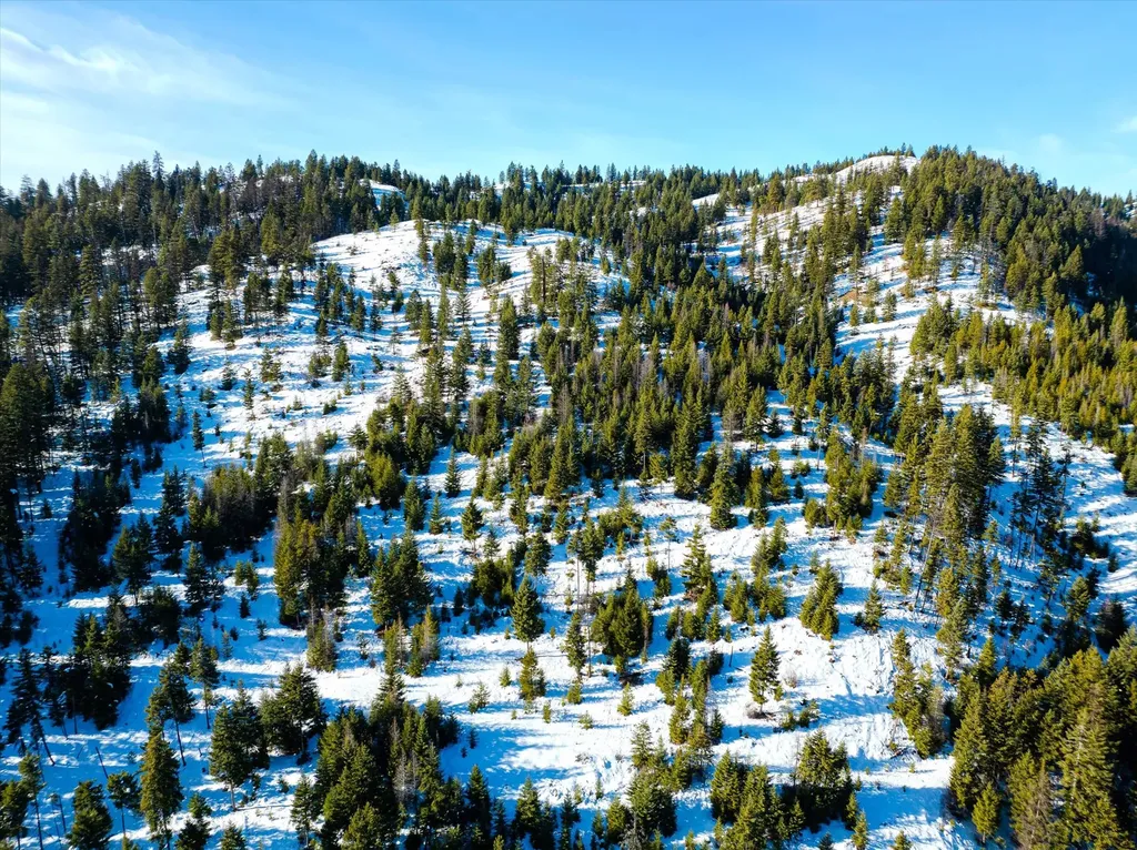 Nhn Elk Creek - Mcginnis Meadows Road Section 11 Libby MT 59923