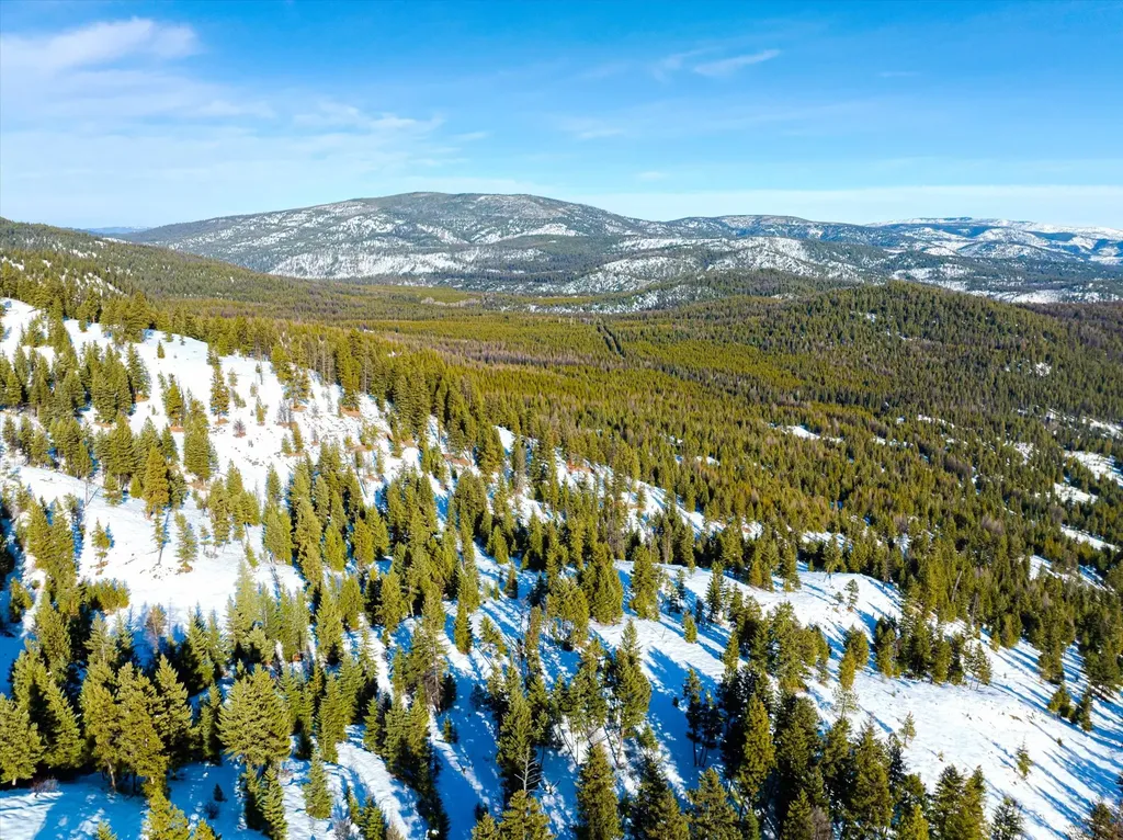 Nhn Elk Creek - Mcginnis Meadows Road Section 11 Libby MT 59923