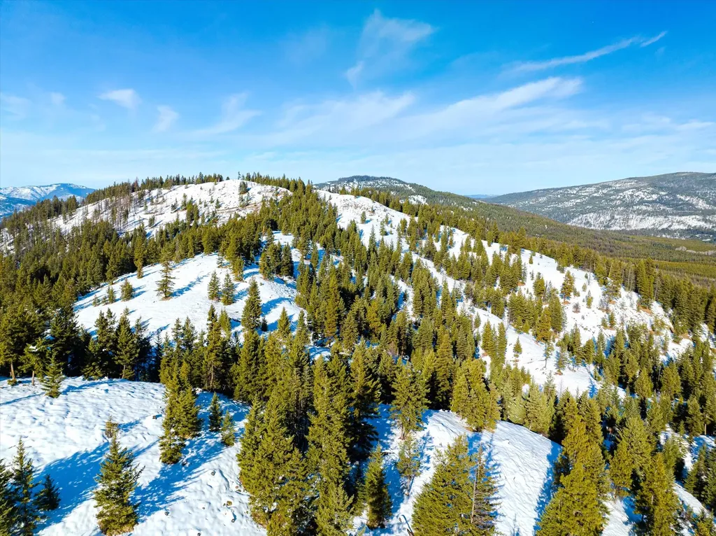 Nhn Elk Creek - Mcginnis Meadows Road Section 11 Libby MT 59923