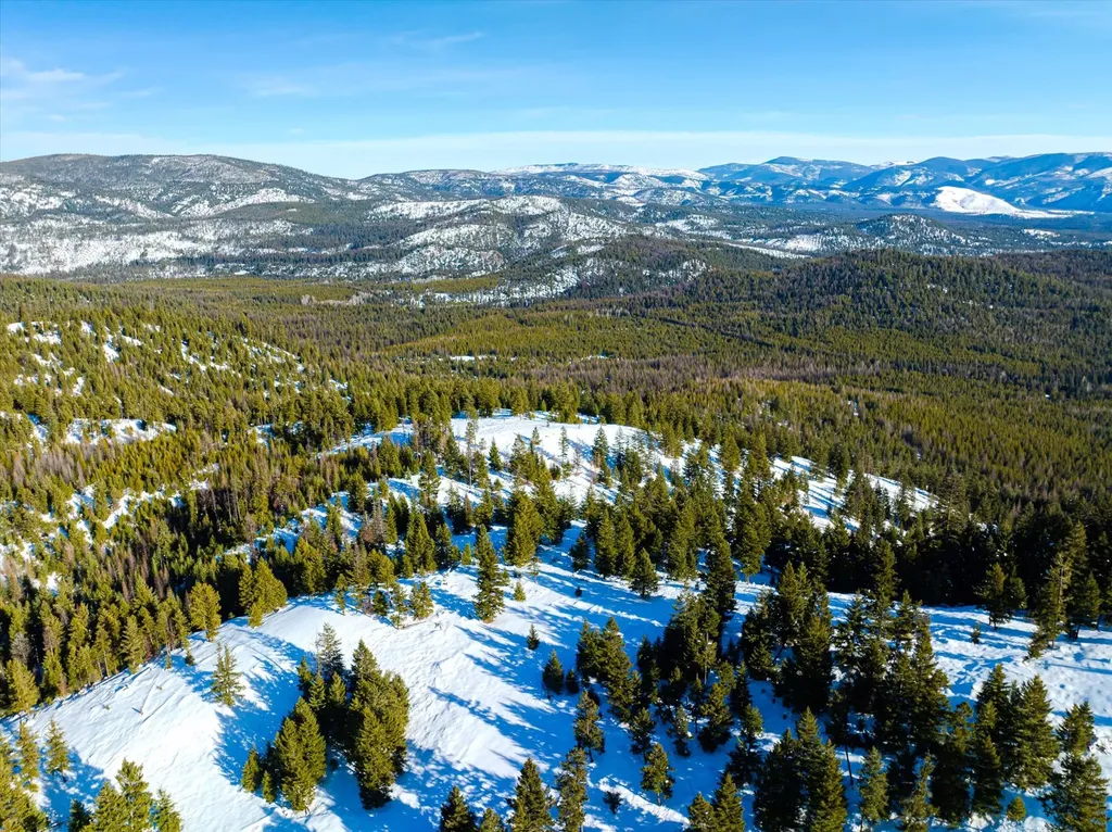 Nhn Elk Creek - Mcginnis Meadows Road Section 11 Libby MT 59923