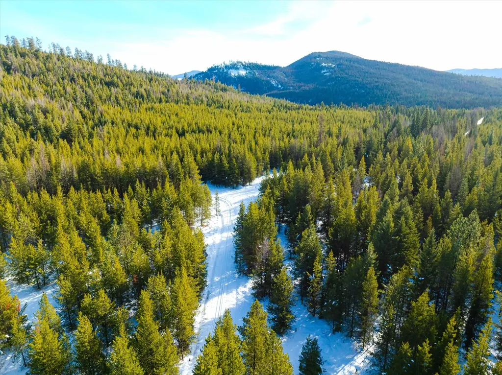 Nhn Elk Creek - Mcginnis Meadows Road Section 11 Libby MT 59923