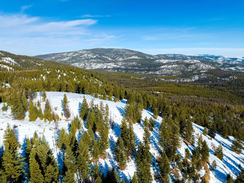 Nhn Elk Creek - Mcginnis Meadows Road Section 11 Libby MT 59923