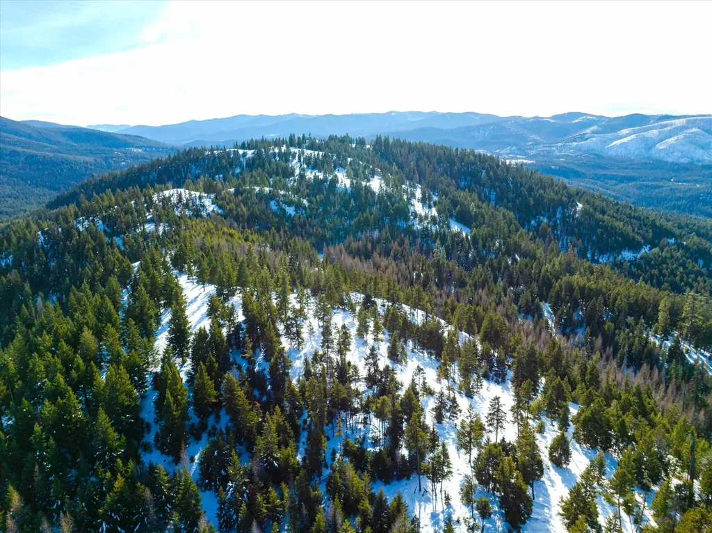 Nhn Elk Creek - Mcginnis Meadows Road Section 11 Libby MT 59923