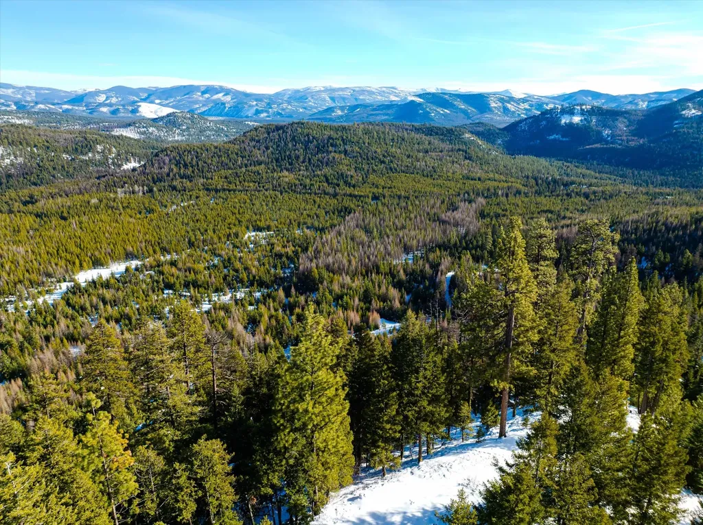 Nhn Elk Creek - Mcginnis Meadows Road Section 11 Libby MT 59923