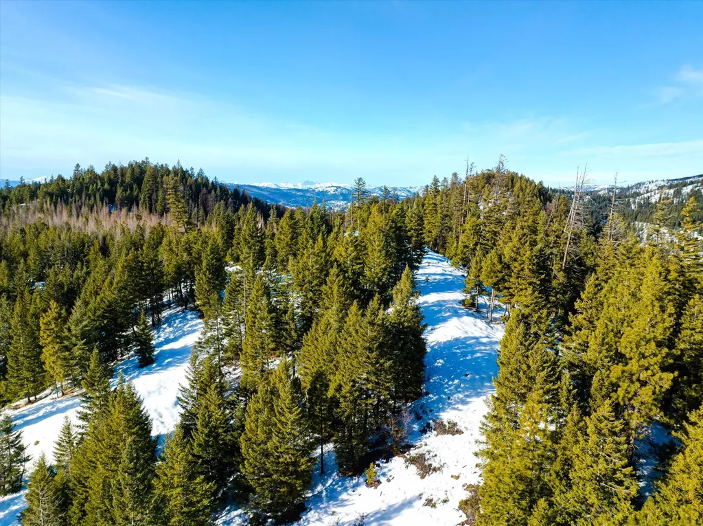 Nhn Elk Creek - Mcginnis Meadows Road Section 11 Libby MT 59923