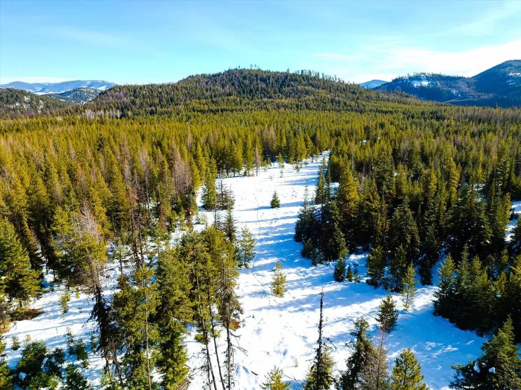 Nhn Elk Creek - Mcginnis Meadows Road Section 11 Libby MT 59923