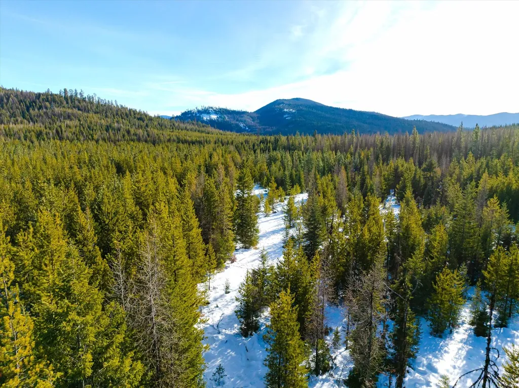 Nhn Elk Creek - Mcginnis Meadows Road Section 11 Libby MT 59923