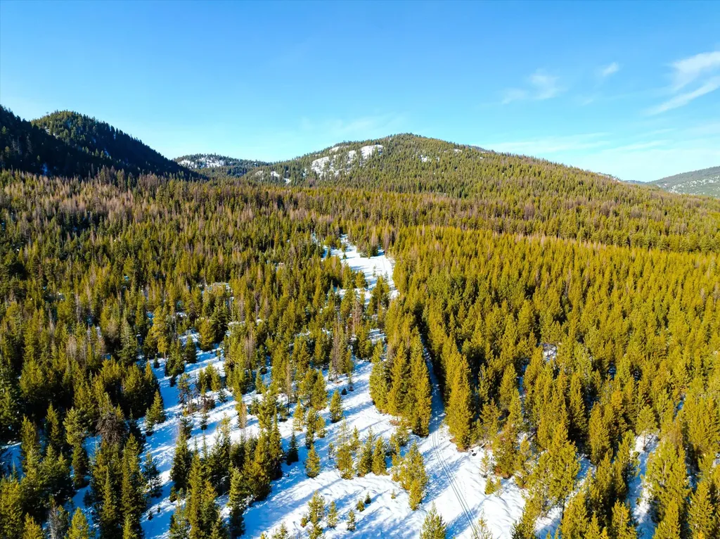 Nhn Elk Creek - Mcginnis Meadows Road Section 11 Libby MT 59923