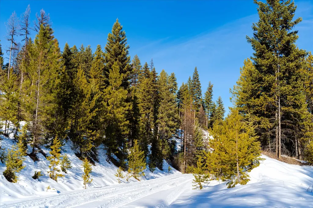 Nhn Elk Creek - Mcginnis Meadows Road Section 11 Libby MT 59923
