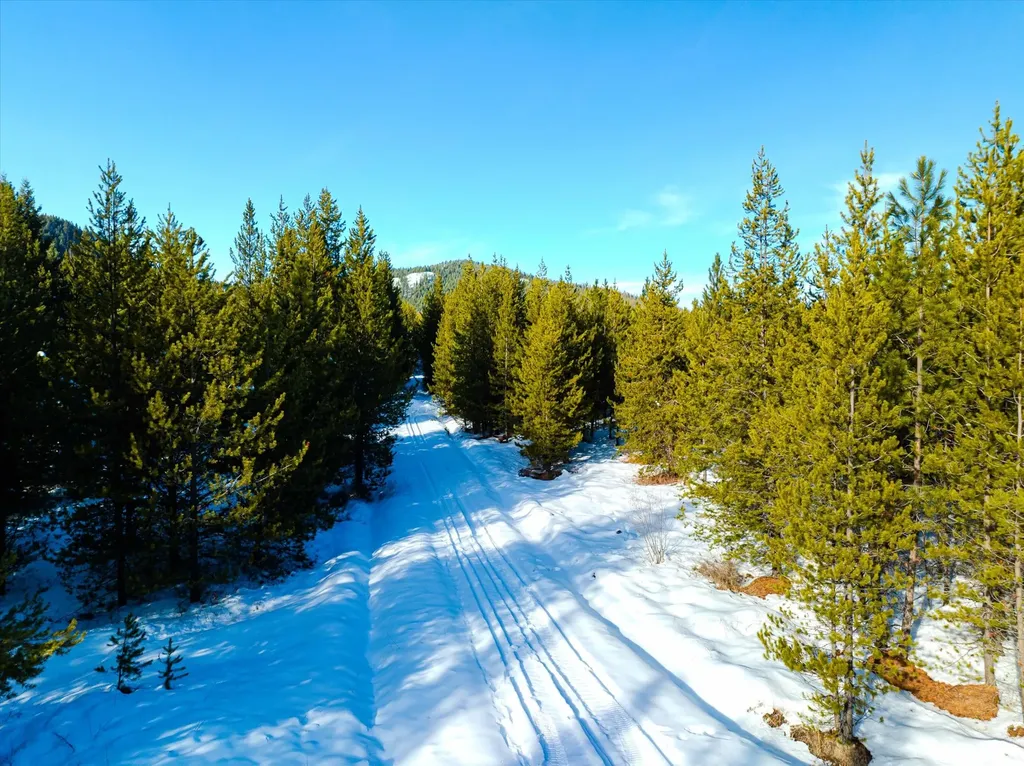 Nhn Elk Creek - Mcginnis Meadows Road Section 11 Libby MT 59923