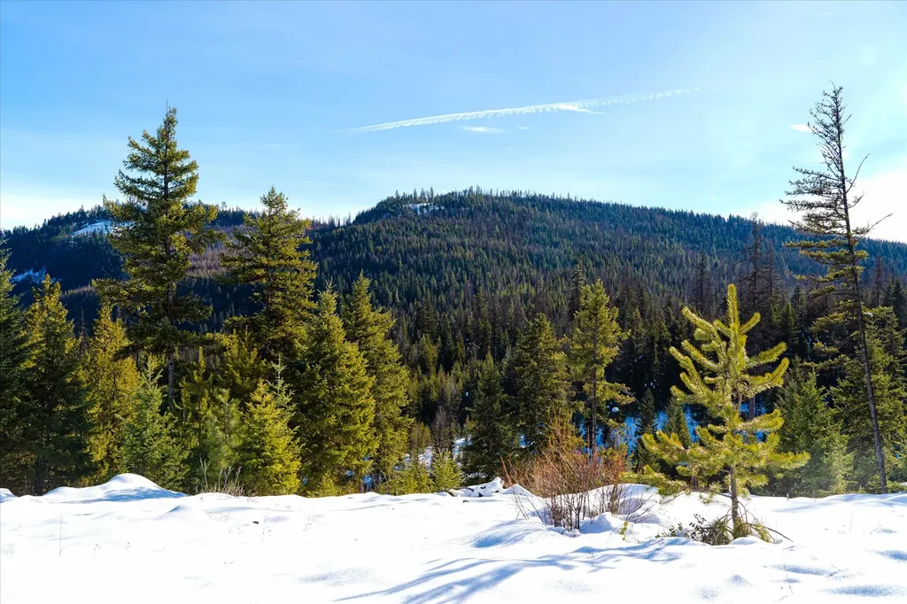 Nhn Elk Creek - Mcginnis Meadows Road Section 11 Libby MT 59923