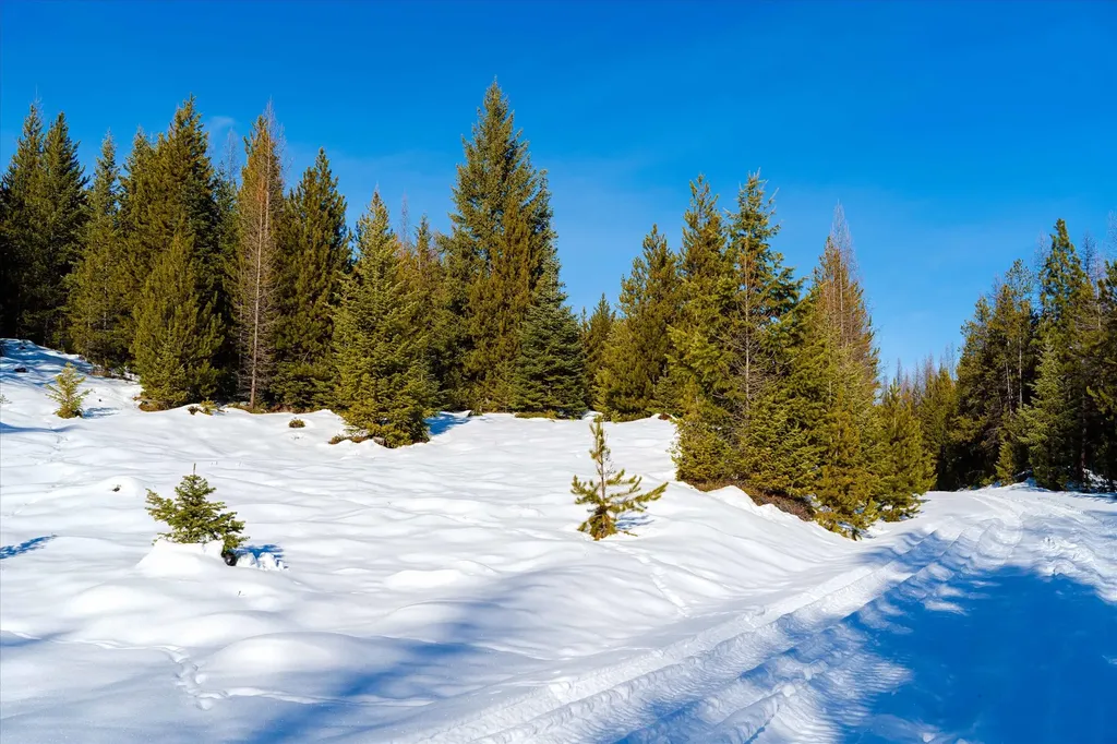 Nhn Elk Creek - Mcginnis Meadows Road Section 11 Libby MT 59923