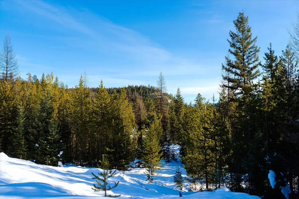 Nhn Elk Creek - Mcginnis Meadows Road Section 11 Libby MT 59923