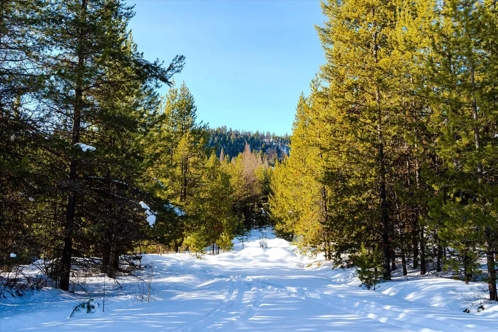 Nhn Elk Creek - Mcginnis Meadows Road Section 11 Libby MT 59923
