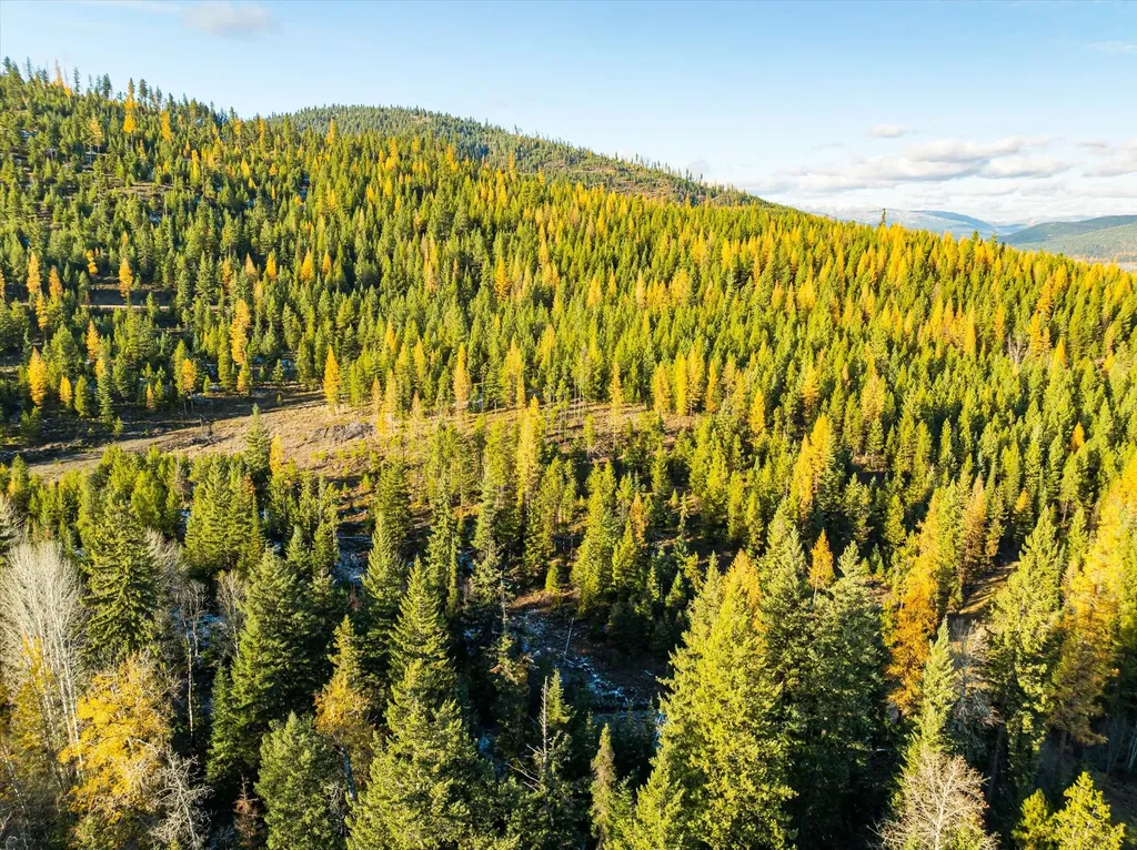 Nhn Mcginnis Meadows - Bayhorse Road Section 5 Libby MT 59923