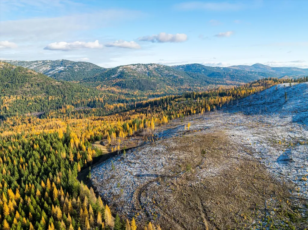 Nhn Mcginnis Meadows - Bayhorse Road Section 5 Libby MT 59923